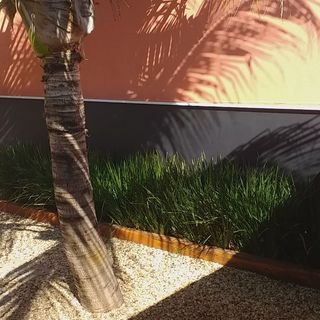 Jardineiros profissionais em ação - trabalho 2