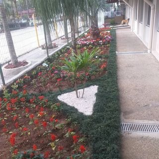 Jardineiros profissionais em ação - trabalho 3