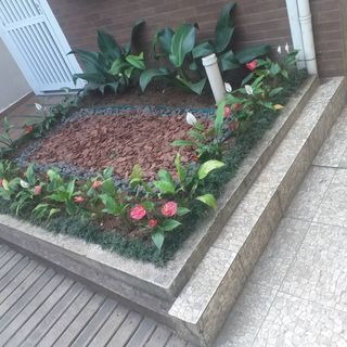 Jardineiros profissionais em ação - trabalho 6