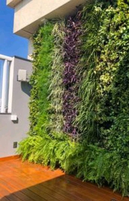 Jardim Vertical