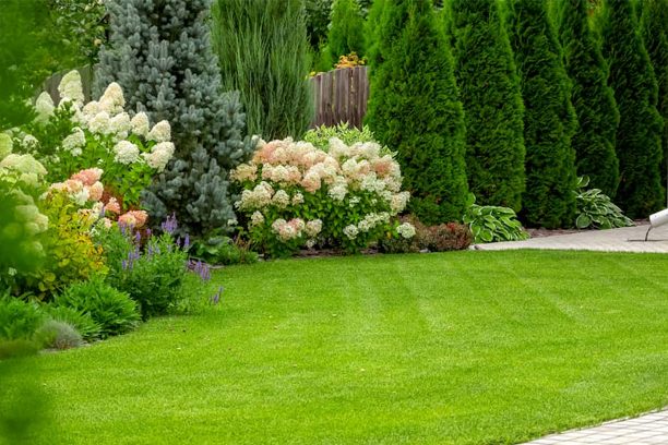 Plantio de Grama e Flores em Bertioga | Riviera de São Lourenço